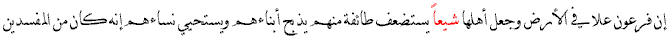 (28:4)